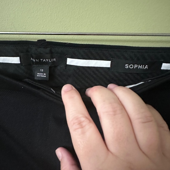 Ann Taylor The Sophia Lined Straight Leg Dress Pants Size 12 - Picture 7 of 8